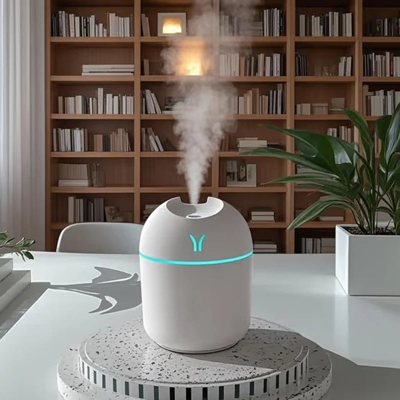 Mini Humidifier